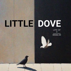 Little Dove
