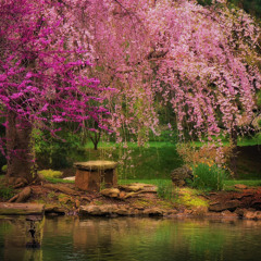 Sound Of Dreams With Pablo van Goosth Station 311