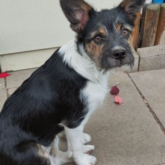 Muckenopa Olly`s DJ-Freizeitmix 1