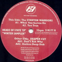 Stanton Warriors - Too True