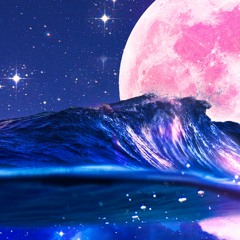 Shores Of Life