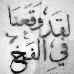 QALB (prod.appa)
