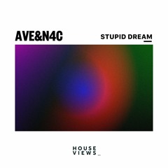 AVE, N4C - Stupid Dream