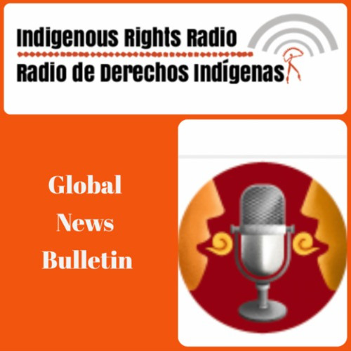 Stream Cultural Survival Global News Bulletin November 2024 by Cultural ...