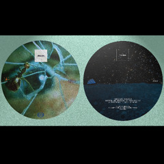 MODULARZ 91 // MarekSPolzki