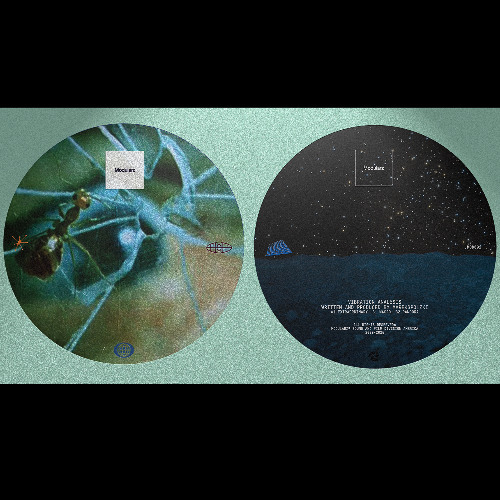 MODULARZ 91 // MarekSPolzki