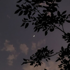 Behnam hasanzadeh _ new voice