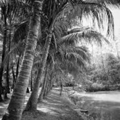 TPCS04E04 Nature