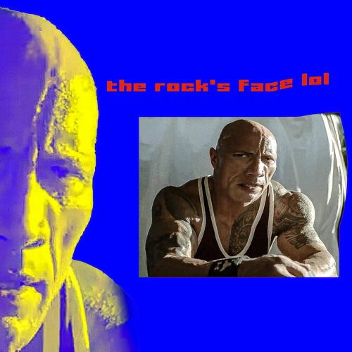 The rock face meme, the rock face meme