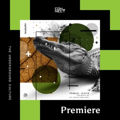 PREMIERE: Pemax, Sisto - Piste016 (Rodrigo Ferrari Remix) [Namata]