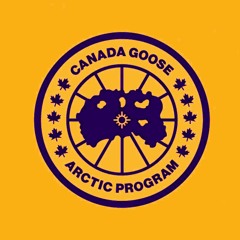 Canada Goose