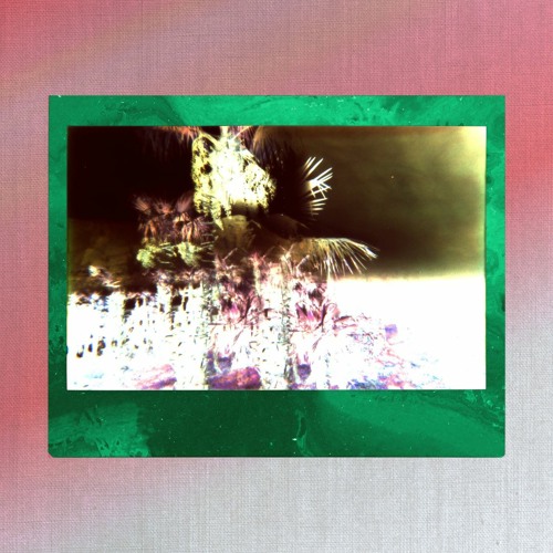 HMWL Premiere: Trees Of Tampa - Bass On My Waist - (Da Le (Havana) Remix)