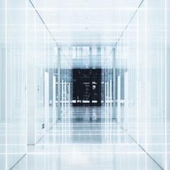 Metropolis