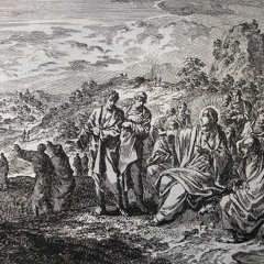 Fourteenth Sunday in Ordinary Time