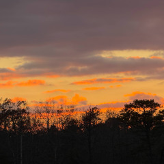 Missin u  {prod. neverforever}