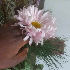Allow yrself to bloom (5.1) by DTM Funk.