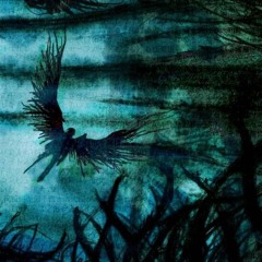 Naoki X Als2wi - Darkness (2021)