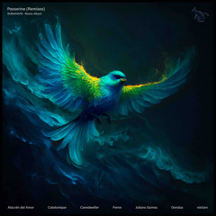 PREMIERE : Catatonique • Passerine • Fernn Remix • Subnautique