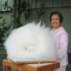 Chesterfield's First