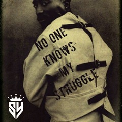 Tupac - Pain (Sobey Beats Remix)