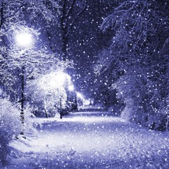 Winter Night.