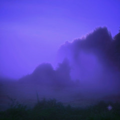 cinar x fade to black - violet