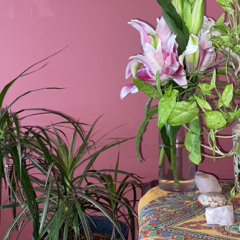 my love mitski cover