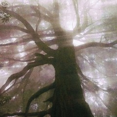 looping_memories