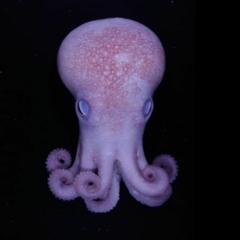 Rock Bottom Radio #002 - Justin Johnspin