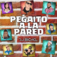 Pegaito A La Pared [DJ BICHO 22']