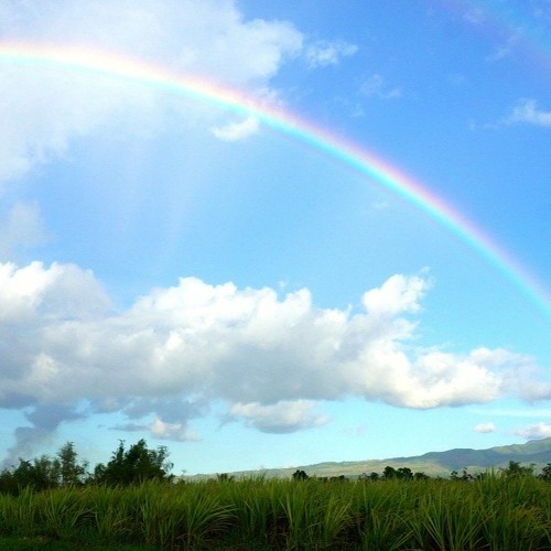 雨上がりの空 雨上がりの空 | GANREF