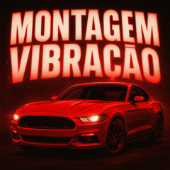 Montagem Vibração