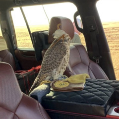 وصلتُ المنتهى - فلااح المسردي :(