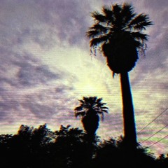 Summer’s Gone