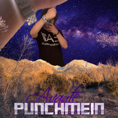 Punchmein (prod. Parallel6)