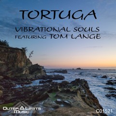 Vibrational Souls-Tortuga