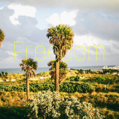 Brooklyn ft Jhevic - Freedom