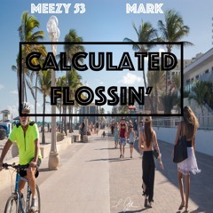 [Bonus Track] Destiny Feat. MikethaGoat