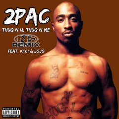 2Pac - Thug N U, Thug N Me [NS Remix]