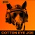 Artwork for Rednex - Cotton Eye Joe (Empyre One, Justin Pollnik & Paul Keen Remix)