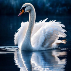 elegant sawn in a lage