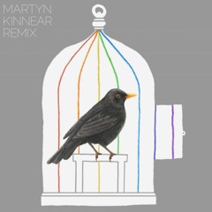 Yws Gwynedd - Deryn Du [Martyn Kinnear Remix]
