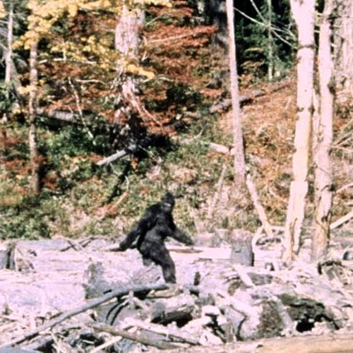 BIGFOOT SIGHTING (prod. unity)