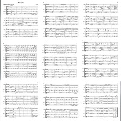 my next single (wings!!!) but its a string arrangement