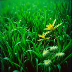 В травах зелених