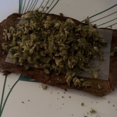 Russian Cream Backwoods ft Quanxxl