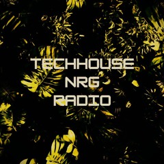 TECHHOUSE NRG RADIO [EPISODE 27] ADE SPECIAL - Mixed by Chris Vanley(NL)