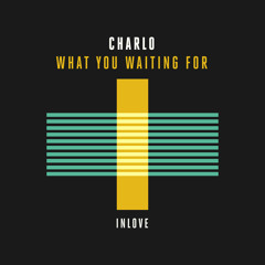 What You Waiting For (Extended Mix)