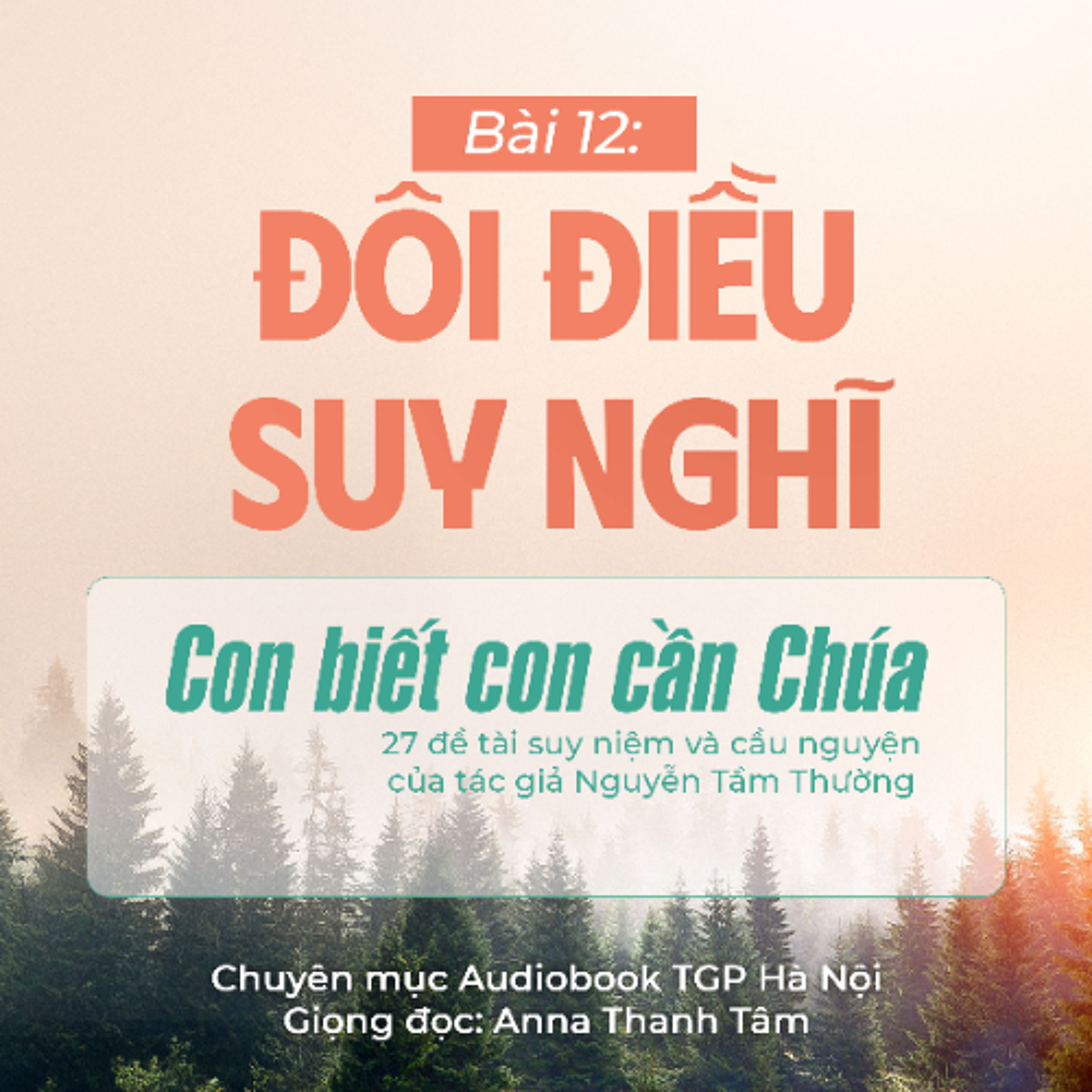 #12 Đôi điều suy nghĩ || Con biết con cần Chúa || Tác giả Nguyễn Tầm Thường