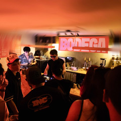 Groovy Cat (MX) - Bodega Café Vhsa